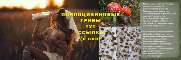 ECSTASY Мегион