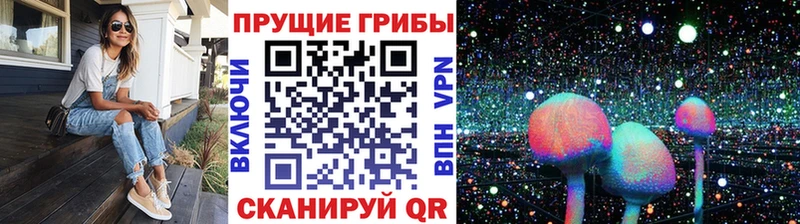Псилоцибиновые грибы GOLDEN TEACHER  Темников 